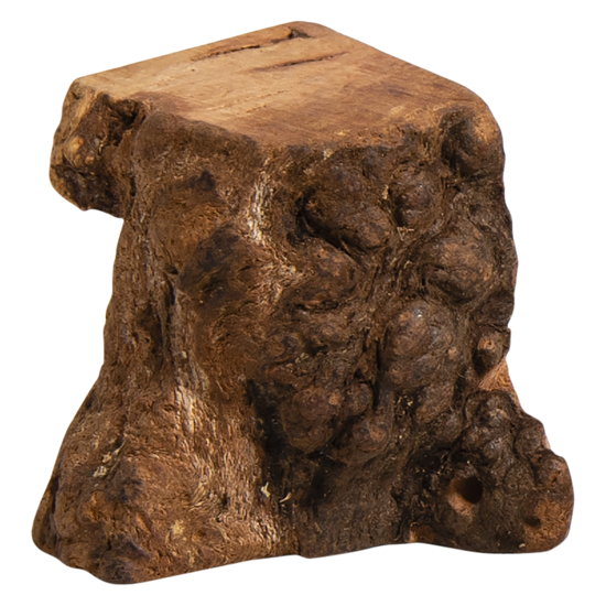 Afbeelding van Boomwortel - S